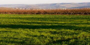 Se declară deschisă recepționarea dosarelor pentru subvenții în agricultură