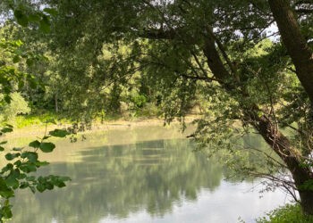 Ape curgătoare, ape călătoare,  întoarcerea la origini…