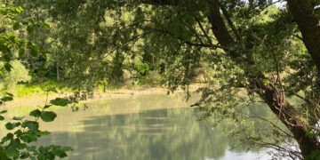 Ape curgătoare, ape călătoare,  întoarcerea la origini…