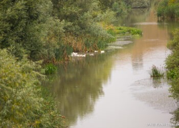 Apele din proprietate publică vor fi atribuite persoanelor doar în folosință, nu și în proprietate
