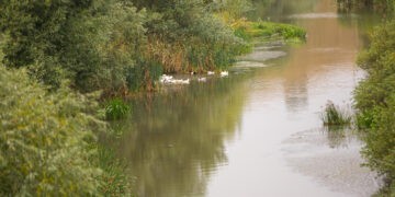 Apele din proprietate publică vor fi atribuite persoanelor doar în folosință, nu și în proprietate