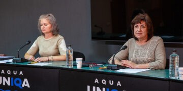 Reprezentanții titularilor de patente cer audierea în Parlament a ministrului Dumitru Alaiba