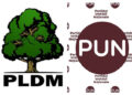 Ultima etapă a fuzionării PUN și PLDM
