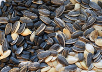 Forța Fermierilor solicită interzicerea importului de floarea-soarelui