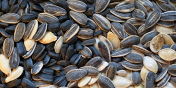 Forța Fermierilor solicită interzicerea importului de floarea-soarelui