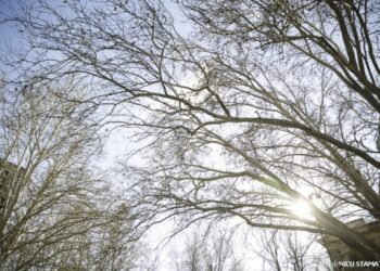 Detalii despre accidentul de Bahmut. A murit o familie