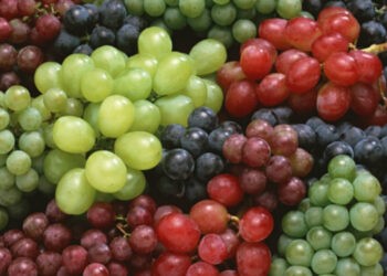 Se estimează o scădere cu 15% a recoltei de struguri