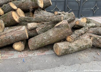 CNAS anunță că au fost finanțate compensațiile la energie sub formă de plată monetară