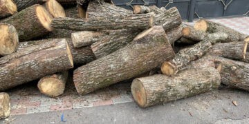 CNAS anunță că au fost finanțate compensațiile la energie sub formă de plată monetară