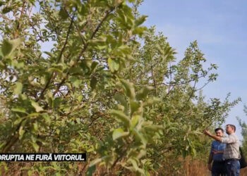 VIDEO.Soluții de neoferire a mitei la depunerea cererilor de subvenționare în agricultură