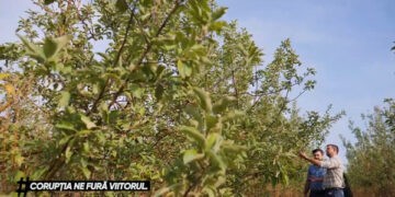 VIDEO.Soluții de neoferire a mitei la depunerea cererilor de subvenționare în agricultură