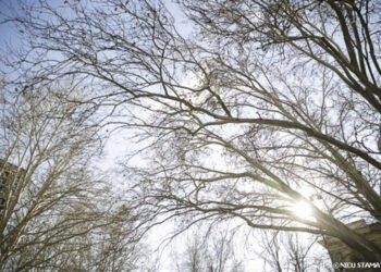 Va fi instituit Fondul național de date hidrometeorologice