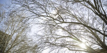 Va fi instituit Fondul național de date hidrometeorologice