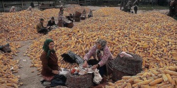 Ce mi-a dat mie educația  prin muncă?