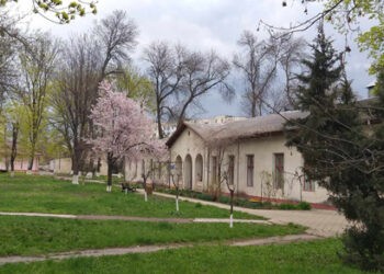 Au fost desemnați câștigătorii  concursului de proiecte, finanțat de  Compania Naţională de Asigurări în Medicină