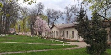 Au fost desemnați câștigătorii  concursului de proiecte, finanțat de  Compania Naţională de Asigurări în Medicină