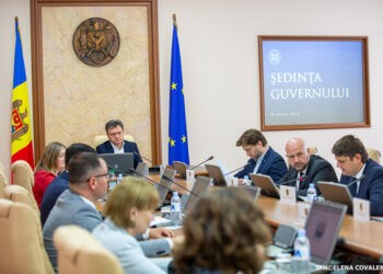 Guvernul a probat implementarea votului prin corespondență în SUA și Canada
