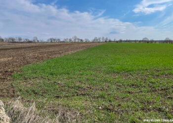 Parlamentul susține acordarea de credite agricultorilor cu gaj acordat de stat