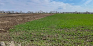 Parlamentul susține acordarea de credite agricultorilor cu gaj acordat de stat