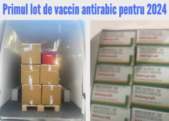 CNAM va aloca 940 de mii de lei pentru achiziționarea primului lot de vaccin antirabic