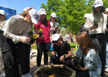 Peste 100 de flori vor înfrumuseța scuarul „Grigore Vieru” din municipiul Ungheni