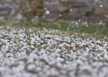 Zeci de hectare cu culturi agricole au fost afectate de ploile puternice cu grindină