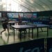 Doi ungheneni în top 10 la un festival internațional la tenis de masă