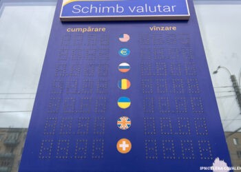 Cererea și oferta de valută pe piața valutară în luna iulie