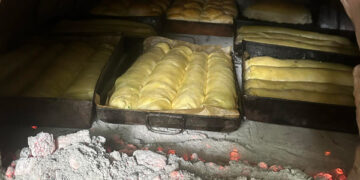 Amintiri din copilărie retrăite prin ochii copiilor mei