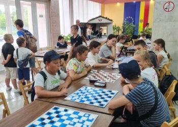 Prețul lemnului moale pentru foc crește ușor în acest an