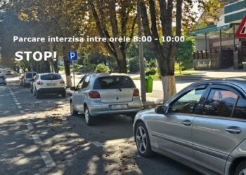 Noi reguli de parcare a automobilelor pe carosabil
