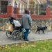 Plățile unice pentru pensionari și copiii cu dizabilități pot fi ridicate din 5 noiembrie