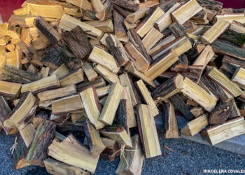 Lemnul se vinde cu 370-1250 de lei per metru ster. Moldsilva: Stocurile ajung pe toată iarna