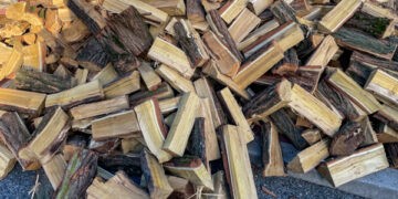 Lemnul se vinde cu 370-1250 de lei per metru ster. Moldsilva: Stocurile ajung pe toată iarna