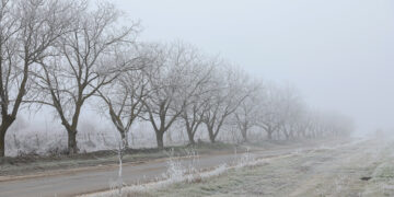 Meteorologii prognozează pentru miercuri temperaturi de până la minus 10 grade