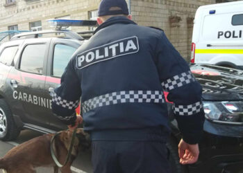 Crimă din „dragoste”