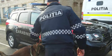 Crimă din „dragoste”