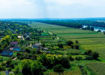 Crimă din „dragoste”