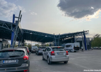 Restricții de circulație la granița Austriei și Slovaciei, din cauza febrei aftoase