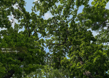 Vara își intră în drepturi: maxime de până la +32 de grade. Ploi cu grindină, pe alocuri