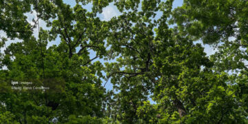 Vara își intră în drepturi: maxime de până la +32 de grade. Ploi cu grindină, pe alocuri