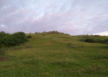 Ană, dorurile tale…