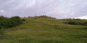 Ană, dorurile tale…