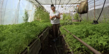 VIDEO. Povestea Angelei Bejenari