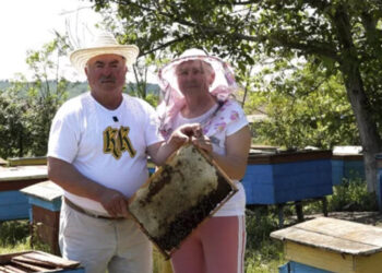 VIDEO. În armonie cu albinele. Povestea unei familii care trăiește ecologic, din iubire și respect pentru natură