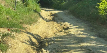 Peste 411 mii lei alocați pentru reparația  drumului L385, care leagă satele Mănoileşti – Cetireni