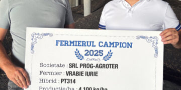 Fermier din Ungheni, campion la cultura de rapiță