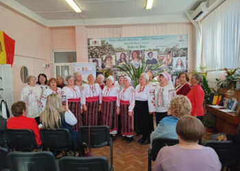 Crizanteme – flori de dor și vis