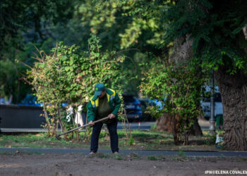 Din 1 ianuarie 2026 – noi reguli privind taxa pentru salubrizare