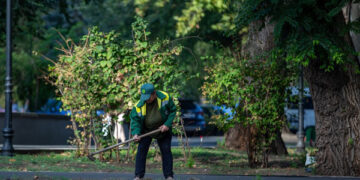 Din 1 ianuarie 2026 – noi reguli privind taxa pentru salubrizare